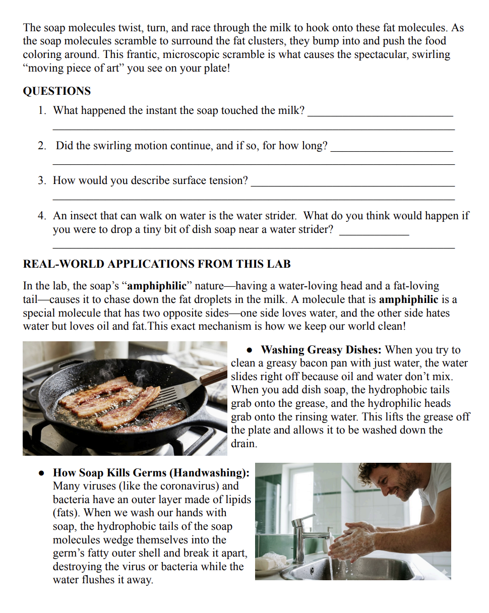 Middle School SCIENCE Course - Image 10