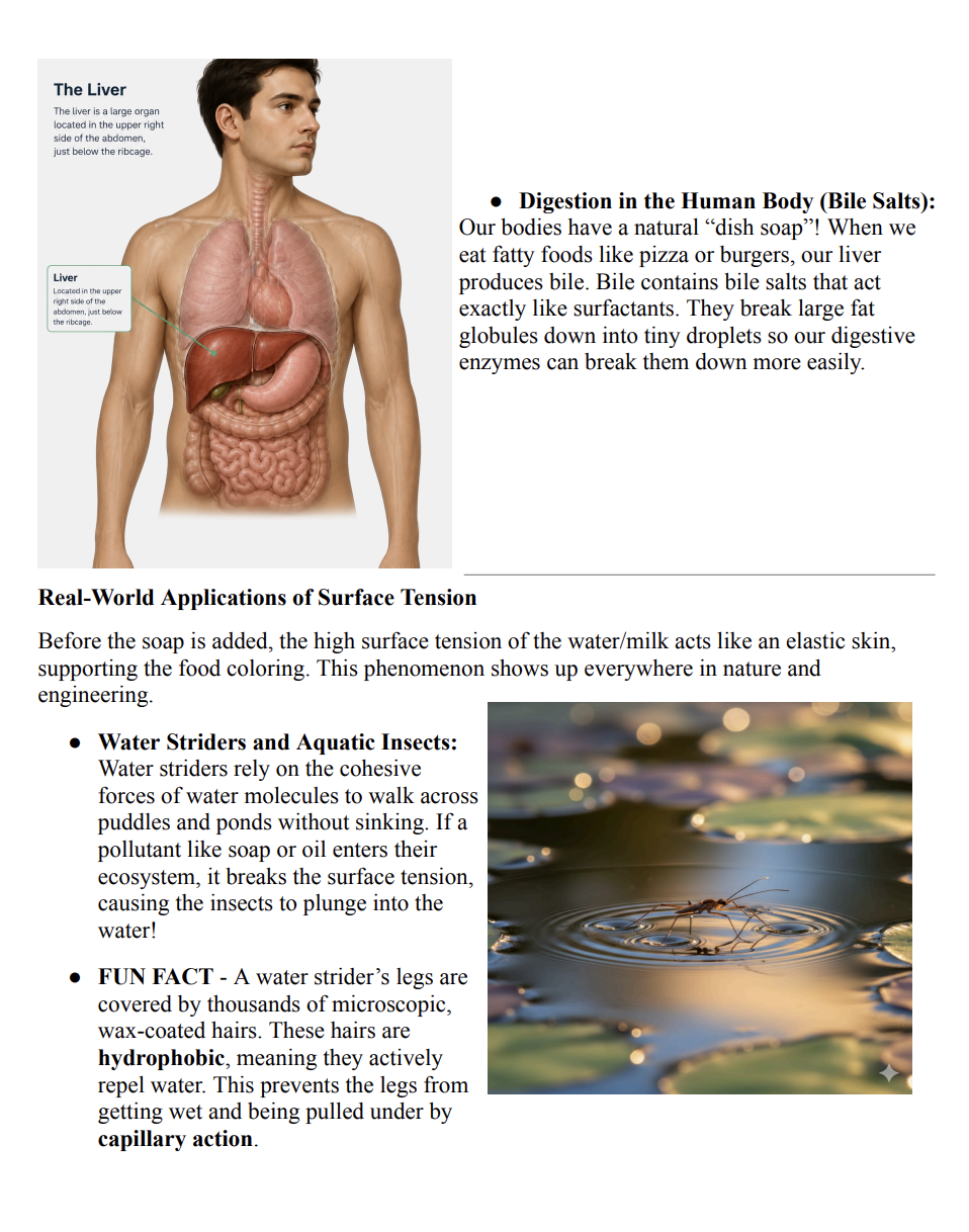 Middle School SCIENCE Course - Image 11